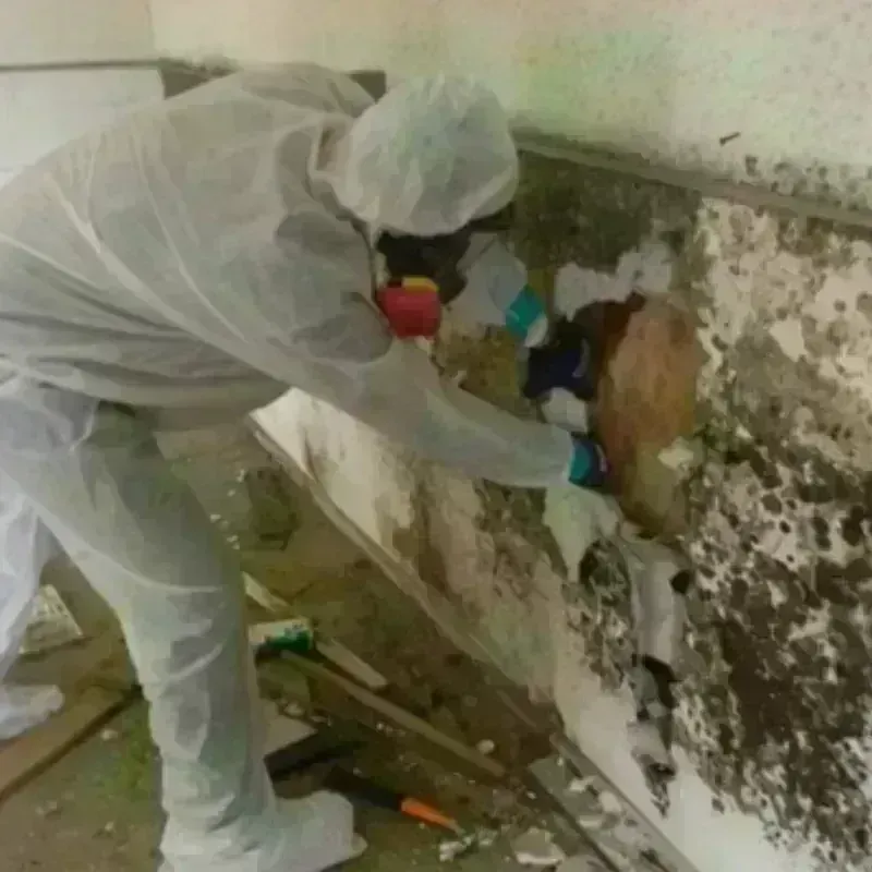 Mold Remediation and Removal in Del City, OK