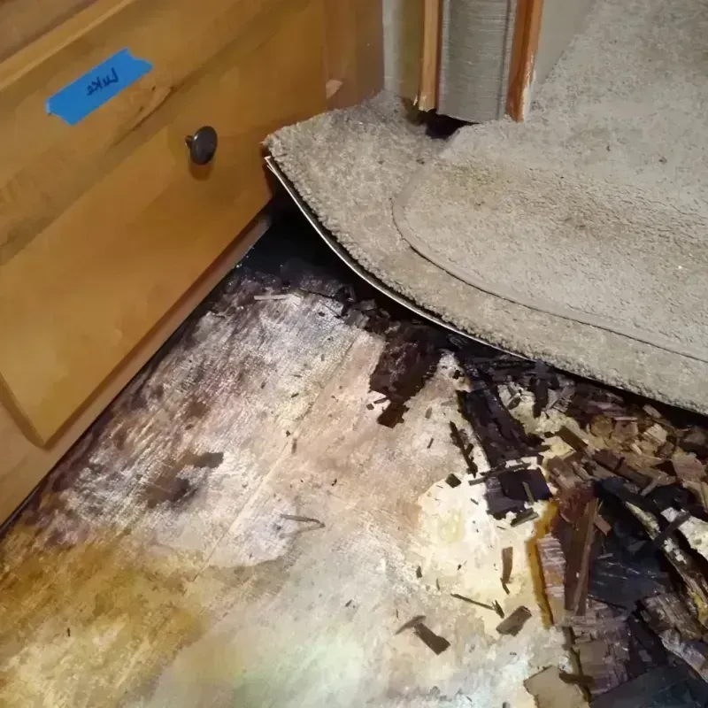 Wood Floor Water Damage in Del City, OK